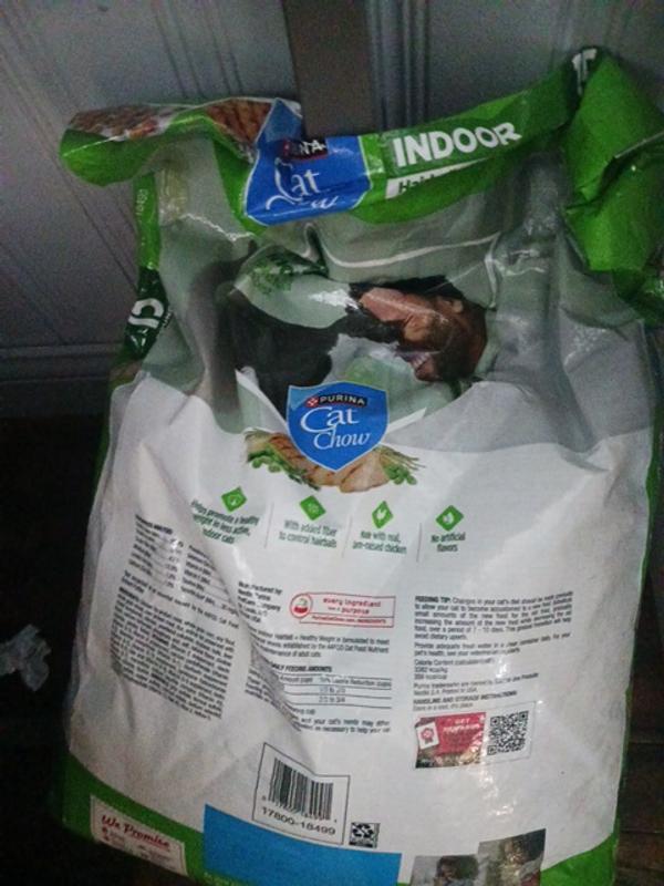 Review photo 2.