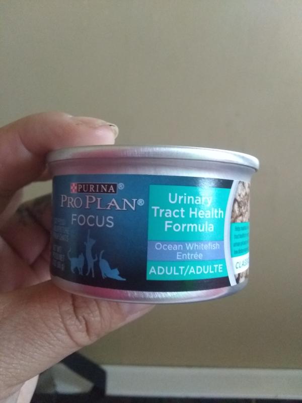 Urinary tract health in a tasty meal for my cat!