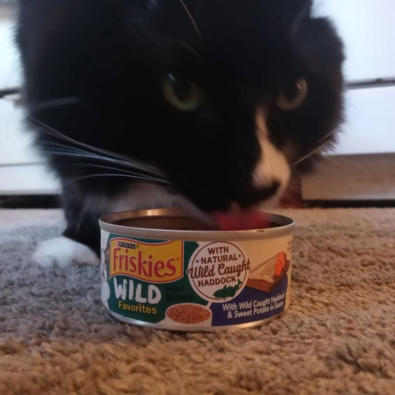 Purina Friskies Wet Cat Food Wild Favorites With Wild Caught Tuna