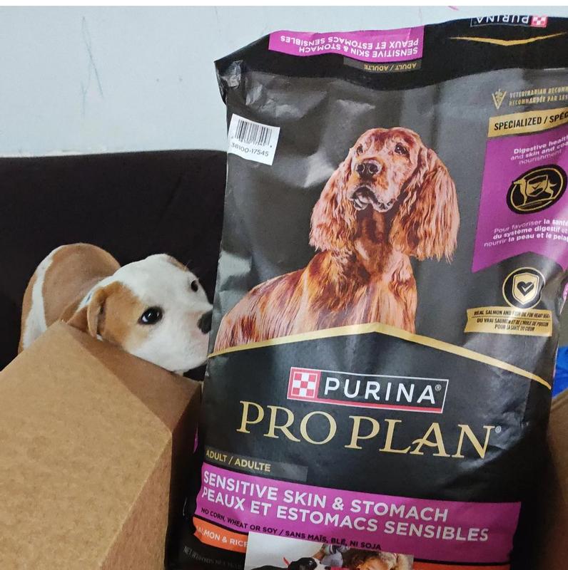 Purina pro plan focus sensitive skin & stomach review best sale