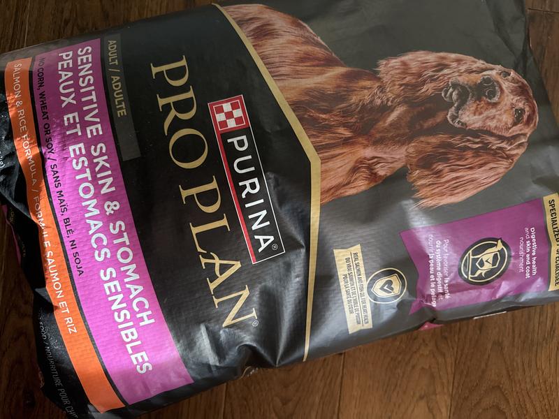 Purina pro plan focus salmon and rice reviews best sale