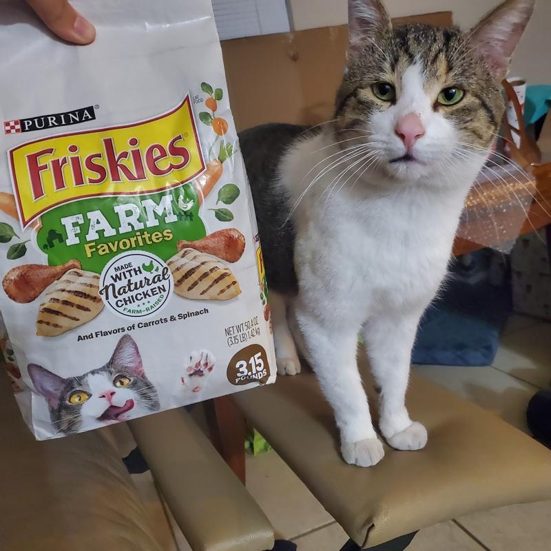 Purina Friskies Natural Dry Cat Food Farm Favorites With Chicken