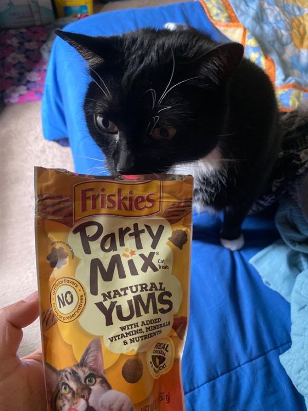 Friskies soft hotsell cat treats