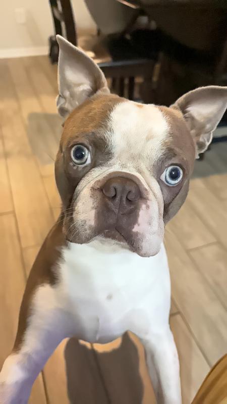 Review photo 5.