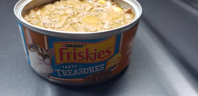 Friskies tasty treasures cat cheap food