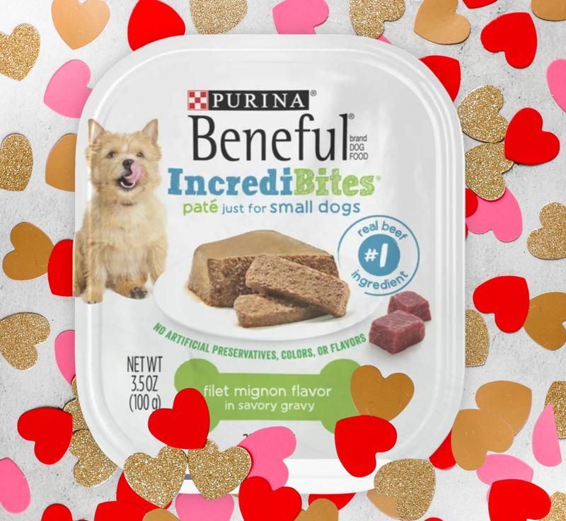 Beneful Superfood Blend Wet Dog Food Variety Pack 6 ct 6 ct 9 oz