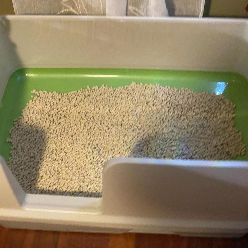 Diy breeze litter outlet box