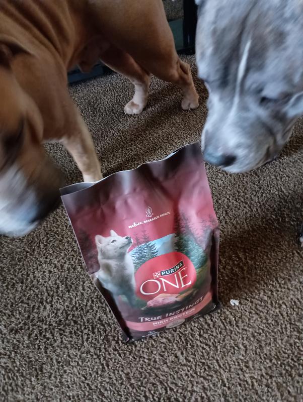 Purina ONE Natural High Protein Dry Dog Food True Instinct With Real Beef Salmon 15 lb. Bag Meijer