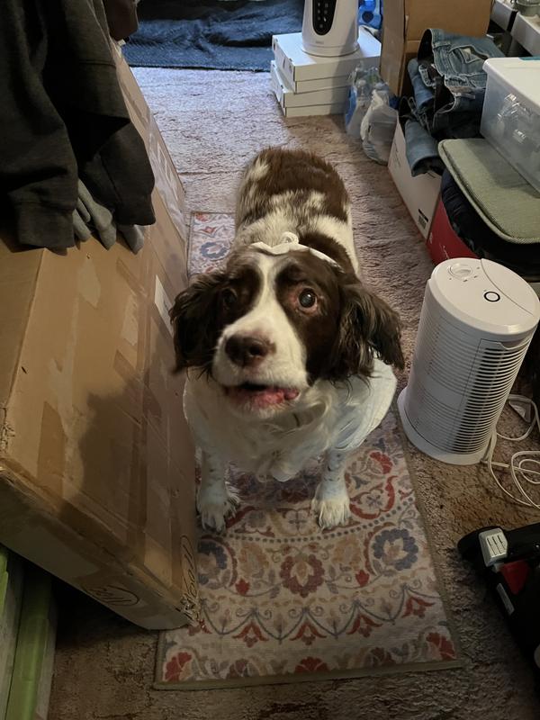“Ma, you are taking to long to serve dinner!”