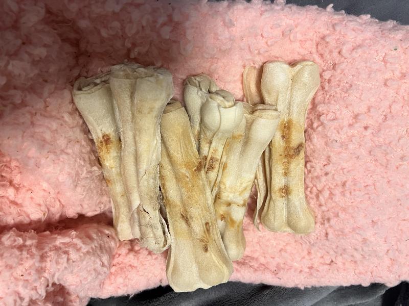 She only eats the jerky off the bone