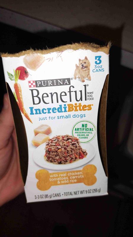 Photo - commentaire 2.