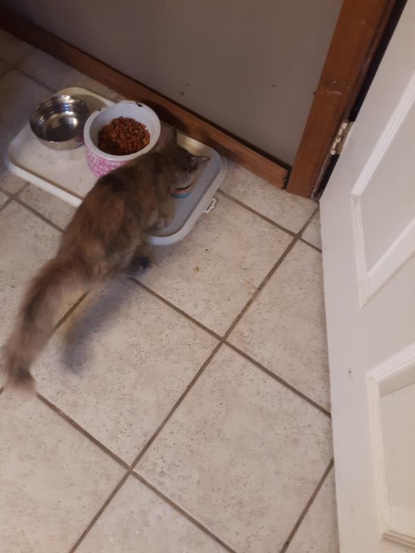 Binx loved it