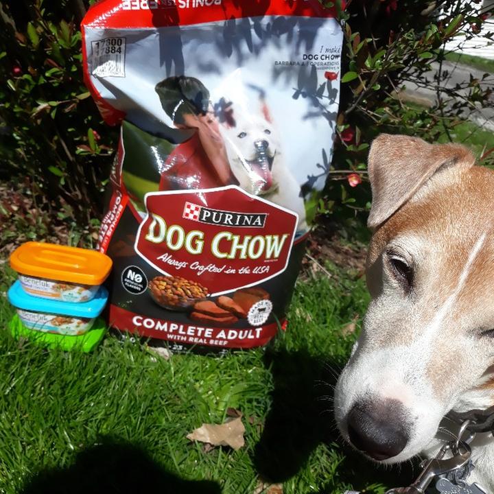 Purina Dog Chow Complete Adult Dog Food with Real Beef, 44 lb - Main Image