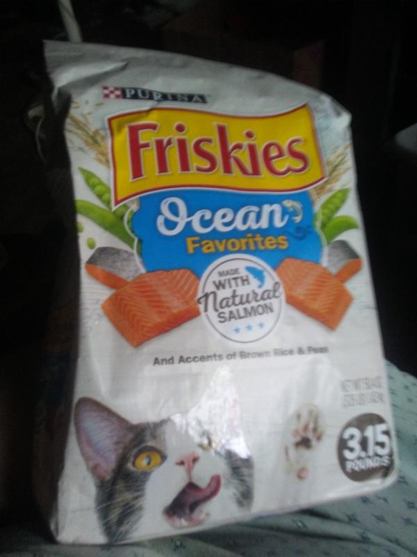 Purina Friskies Dry Cat Food Ocean Favorites With Natural Salmon