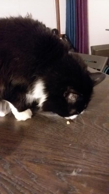 Elijah enjoying his food.