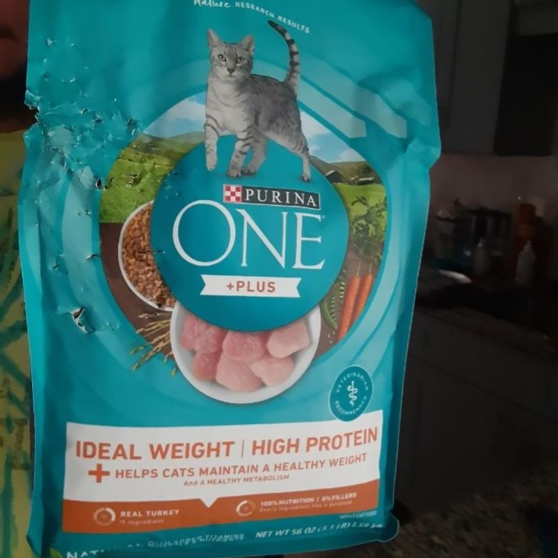 Purina ONE High Protein Healthy Weight Dry Cat Food Plus Ideal