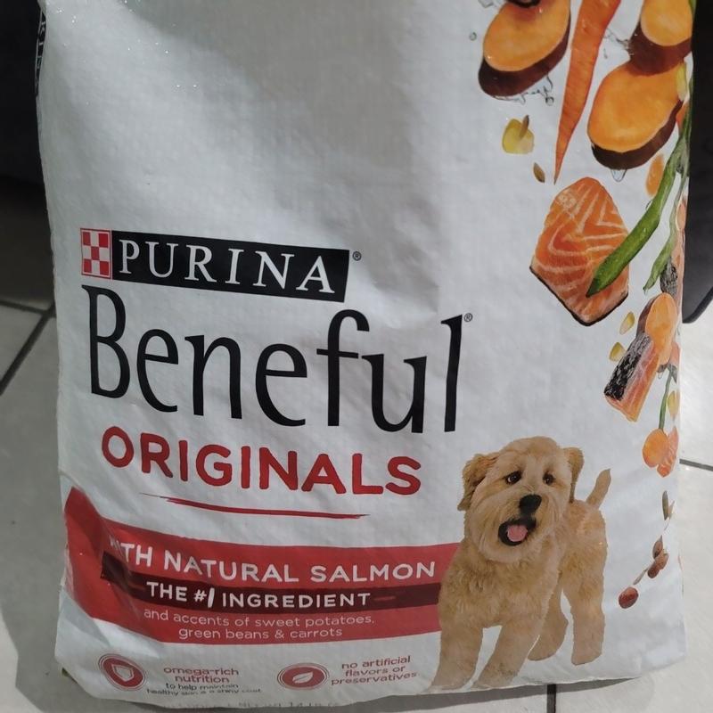 Beneful Originals with Real Salmon Dry Dog Food Petsense