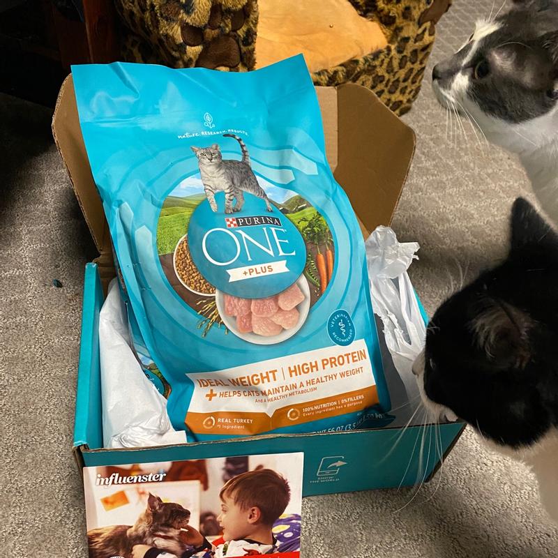 Purina ONE High Protein Healthy Weight Dry Cat Food Plus Ideal