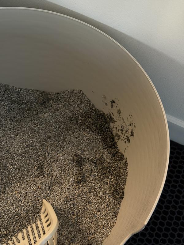 Cat urine, hours old. Does not clump at all, remains wet and leaves dirty litter to mix with the clean litter.