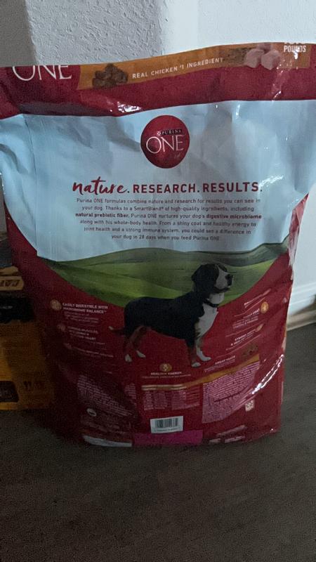 Purina ONE Chicken and Rice Formula Dry Dog Food 31.1 lbs. Petco