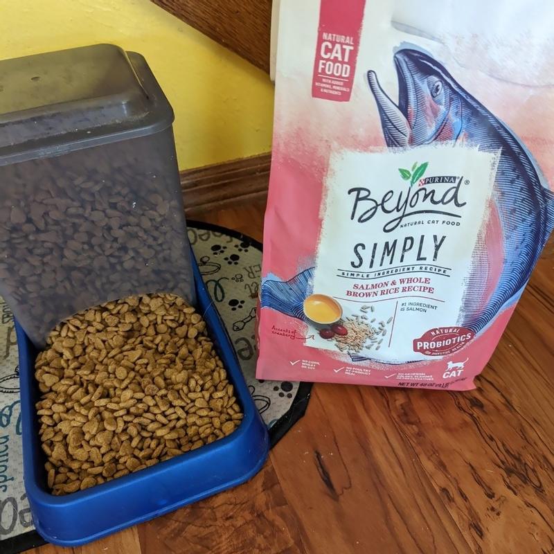 Beyond simply cat food review sale