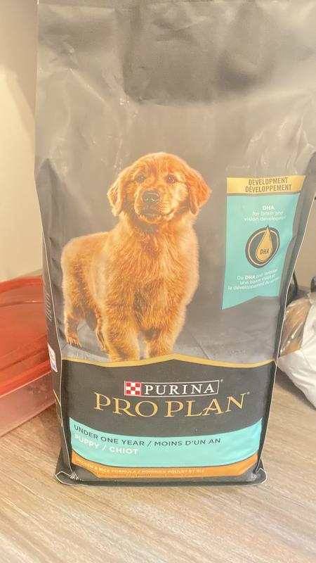 Purina pro plan focus puppy reviews best sale