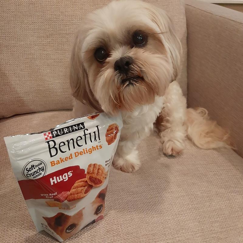 Beneful hot sale hugs recall