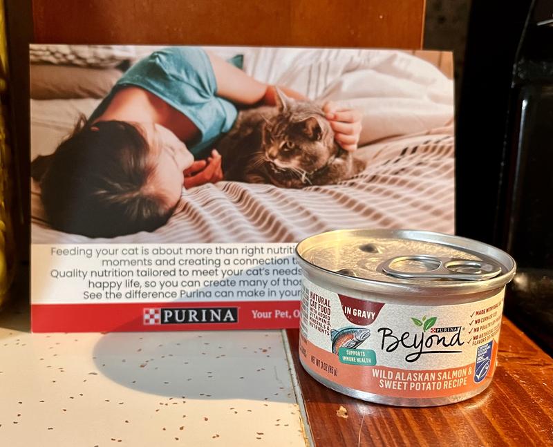 Purina beyond review hotsell