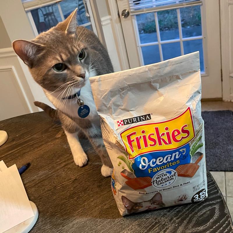 Purina Friskies Dry Cat Food Ocean Favorites With Natural Salmon