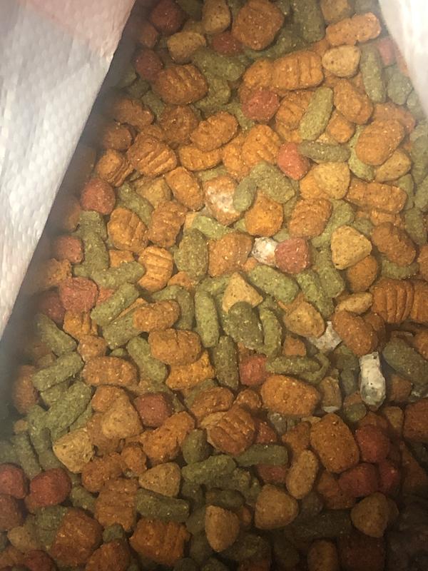 There was more as we dug more into bag