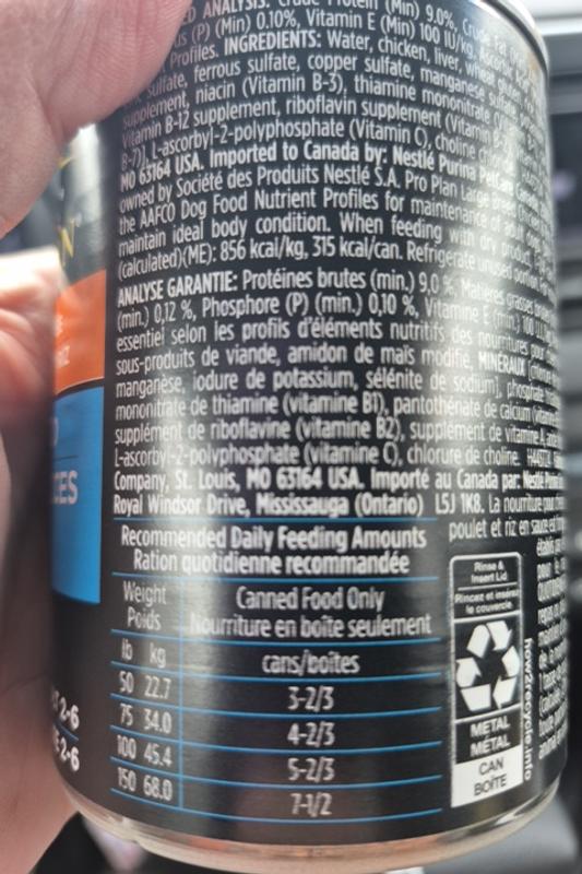 Review photo 3.