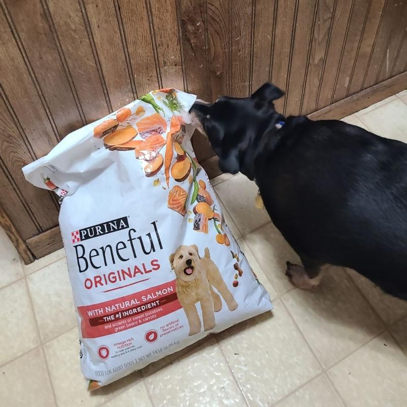 Beneful salmon store dog food walmart