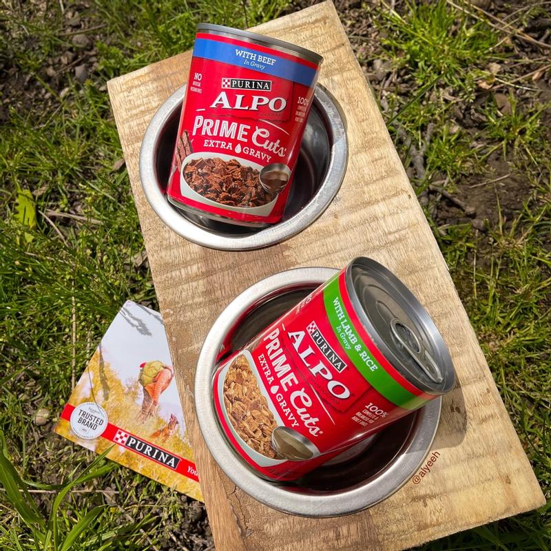 Lot of 2) NEW Purina Alpo Prime Cuts Savory Beef Flavor Adult Dog Food 1 Lb  Box
