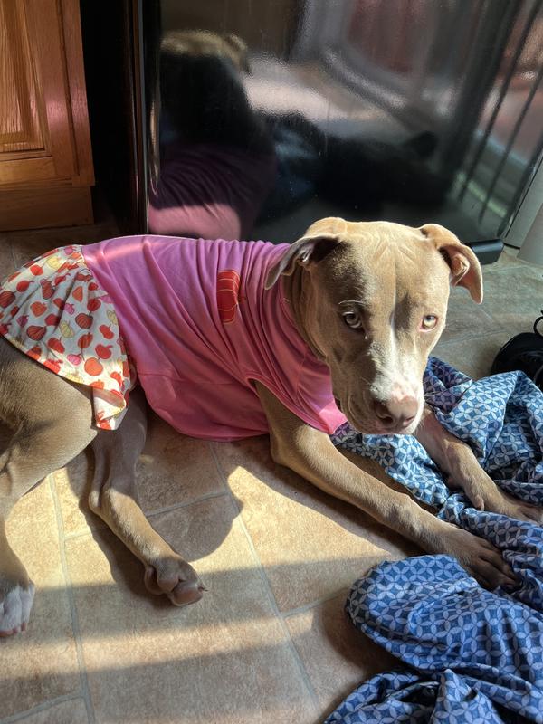 Review photo 3.