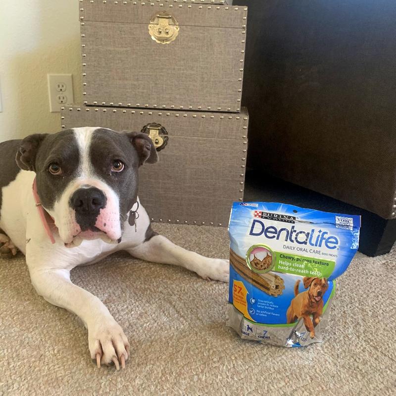 Cleanies dog treats sale