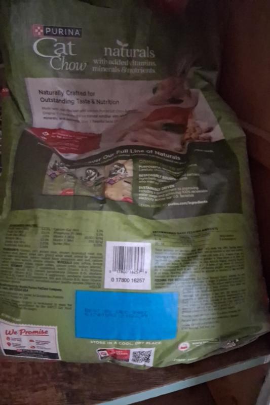 Review photo 4.