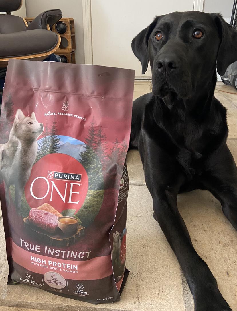 Purina one true instinct high protein best sale