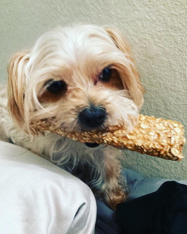 Milo loved it so much!