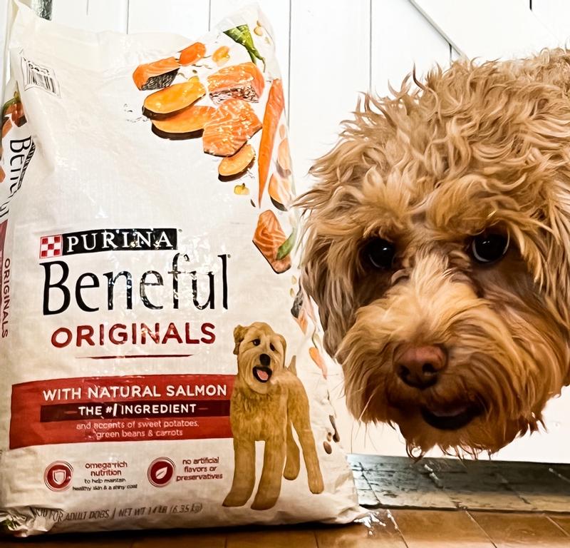 Purina beneful originals sale with real salmon