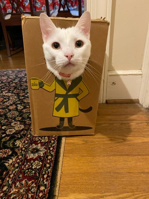 Sonny's typical box reaction!