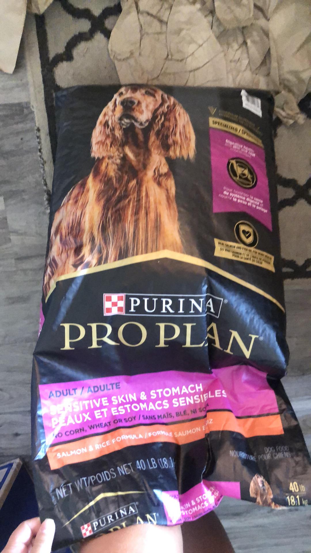 Proplan salmon petco best sale