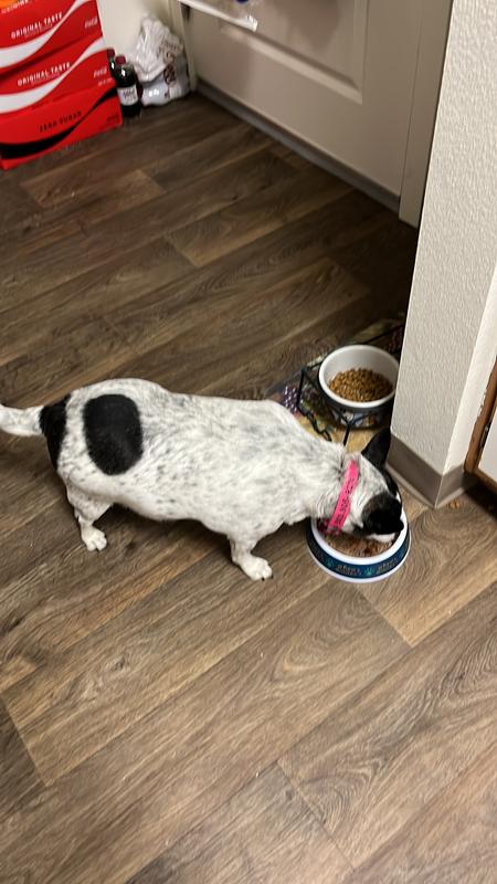 She’s a little chubby!  😉