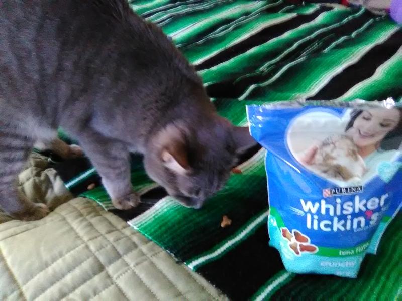 Purina Whisker Lickin s Cat Treats Crunchy Yummy Tuna Flavor 10 oz. Pouch Meijer