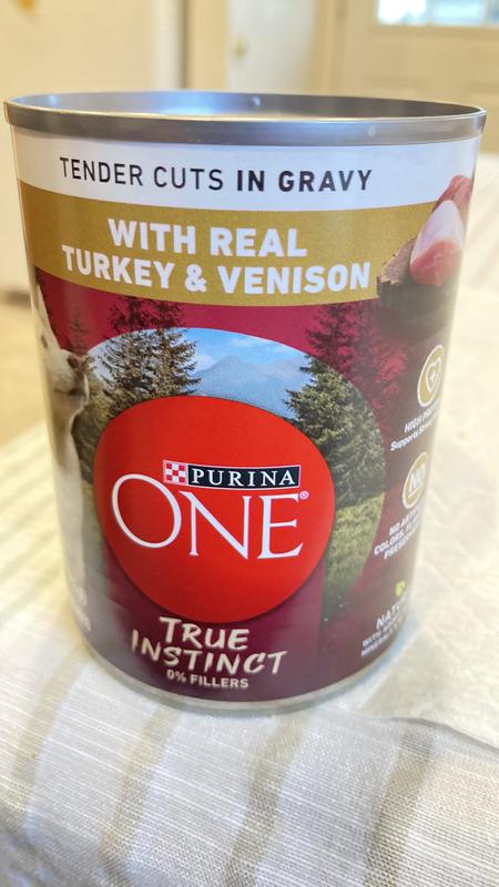 Purina ONE True Instinct Tender Cuts in Gravy Wet Dog Food Variety