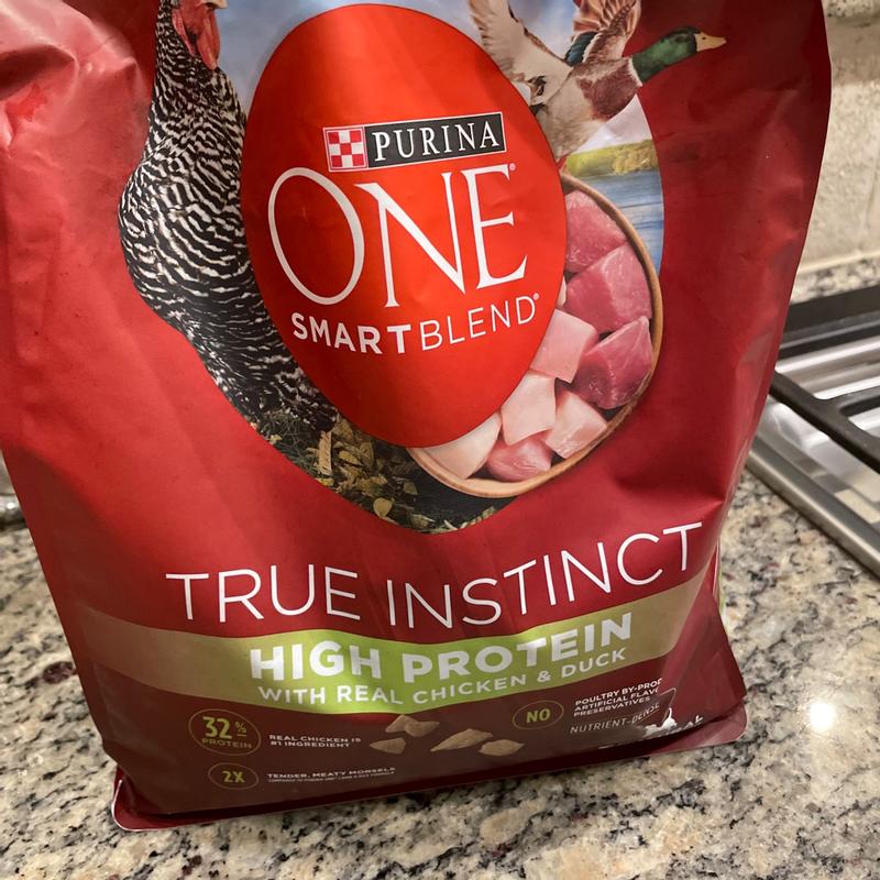 Purina ONE SmartBlend True Instinct Grain-Free Formula Real Gamebird  Classic Ground Wet Dog Food, 13 oz - Kroger