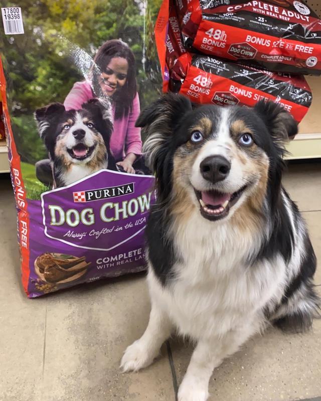 Purina Dog Chow Complete Adult Dog Food with Real Lamb 100 Complete and Balanced Nutrition 4.4 lb. Bag Meijer