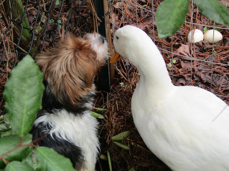 best friends