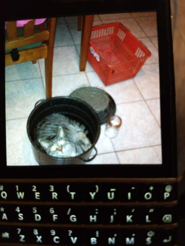 Review photo 2.