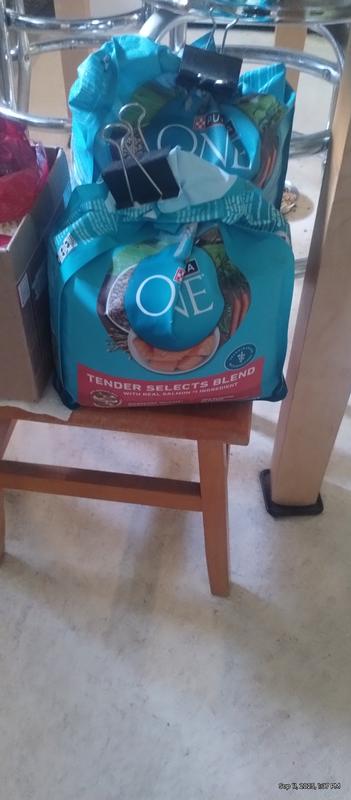 Photo - commentaire&nbsp;8.