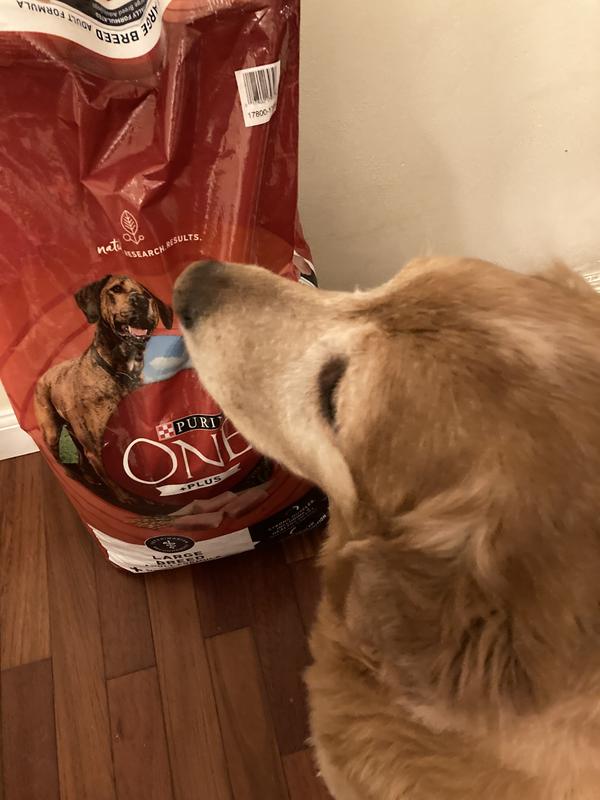 Purina one smartblend large breed review hotsell